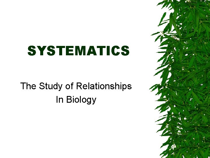 SYSTEMATICS The Study of Relationships In Biology 