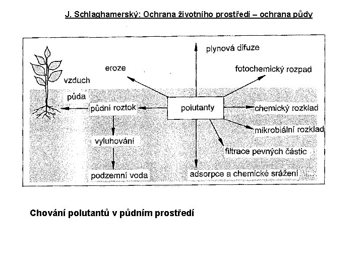 J. Schlaghamerský: Ochrana životního prostředí – ochrana půdy Chování polutantů v půdním prostředí 