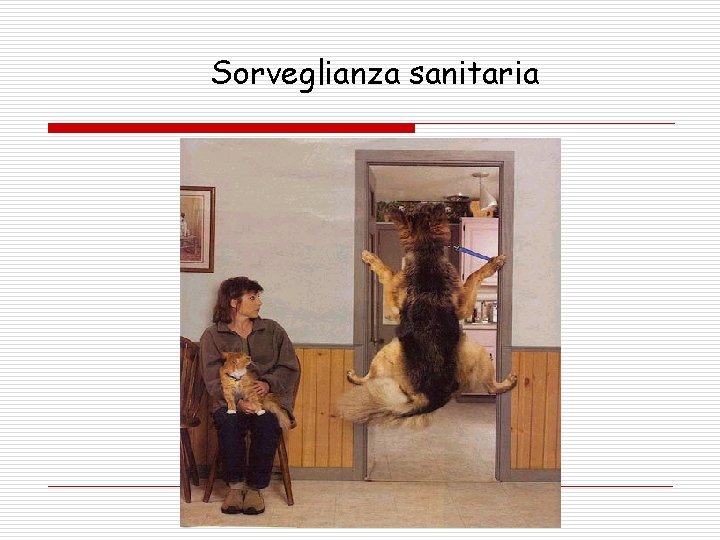 Sorveglianza sanitaria 