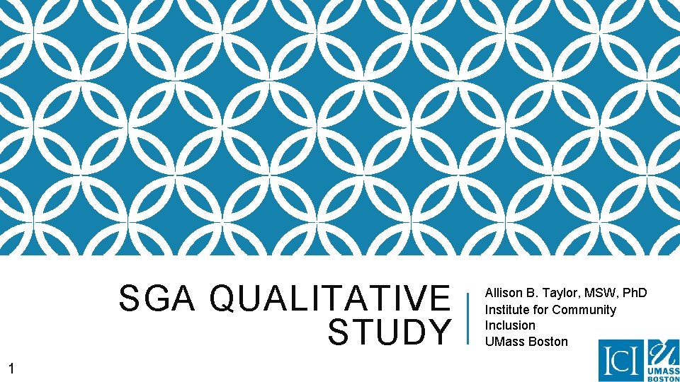 SGA QUALITATIVE STUDY 1 Allison B. Taylor, MSW, Ph. D Institute for Community Inclusion