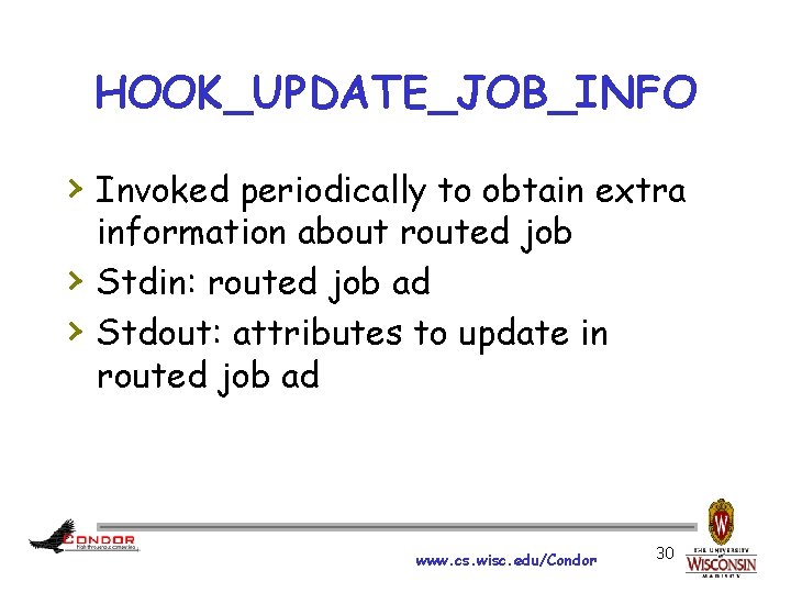 HOOK_UPDATE_JOB_INFO › Invoked periodically to obtain extra › › information about routed job Stdin: