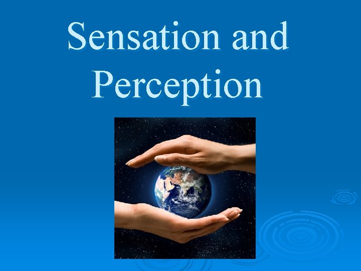 Sensation and Perception 