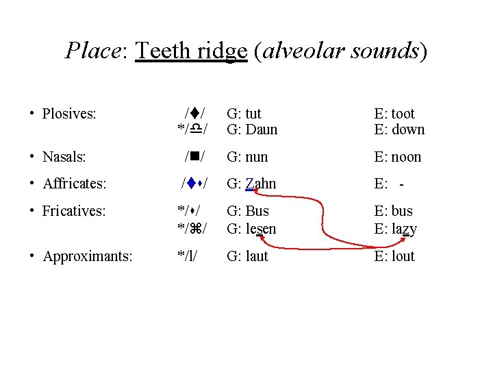 Place: Teeth ridge (alveolar sounds) • Plosives: /t/ */d/ G: tut G: Daun E: