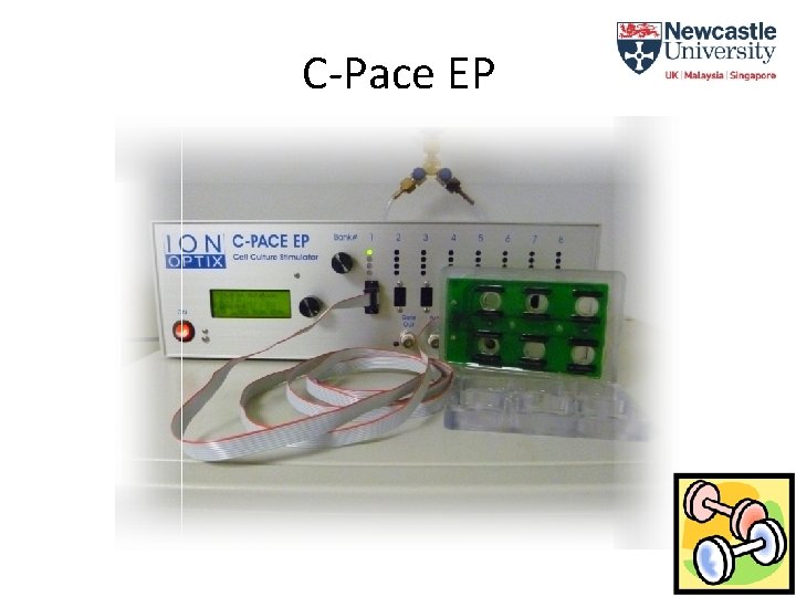 Epace Example Standing up for fatigue the role of autonomic