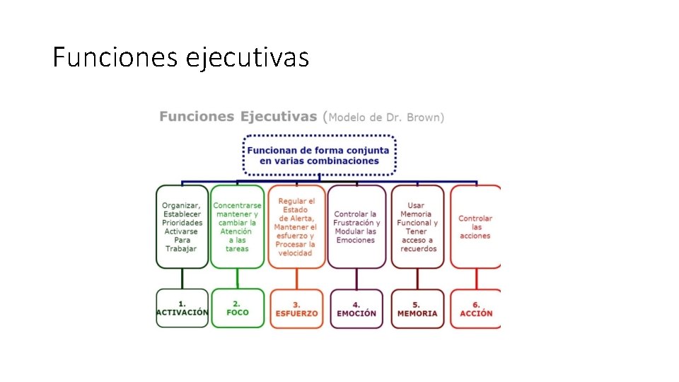 Funciones ejecutivas 