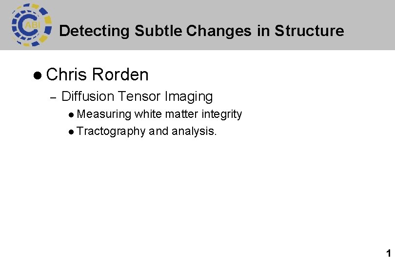 Detecting Subtle Changes in Structure l Chris – Rorden Diffusion Tensor Imaging l Measuring
