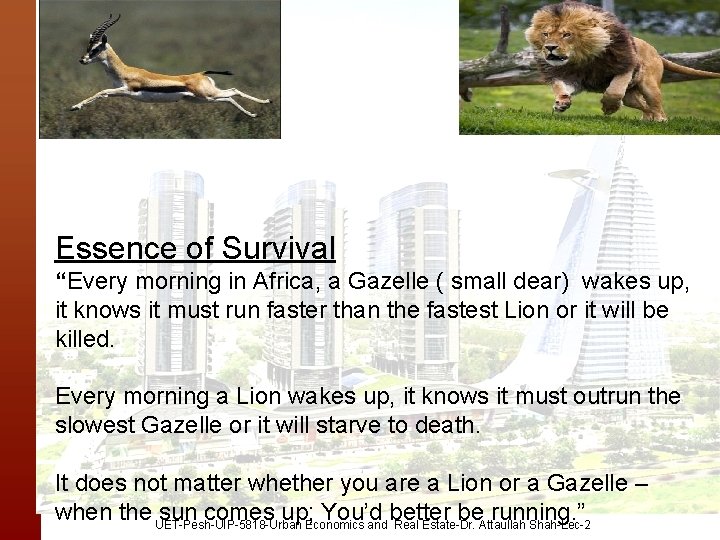 Essence of Survival “Every morning in Africa, a Gazelle ( small dear) wakes up,