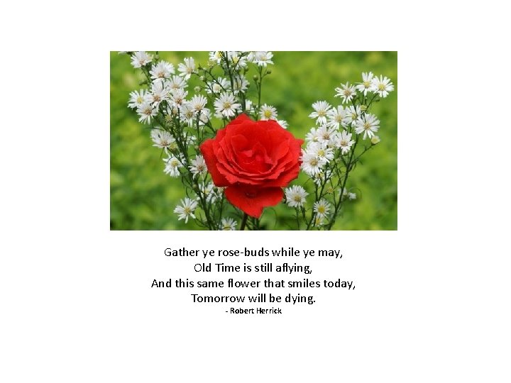 Gather ye rose-buds while ye may, Old Time is still aflying, And this same