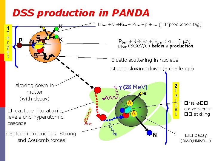 DSS production in PANDA 1 T a r g e t p N �bar