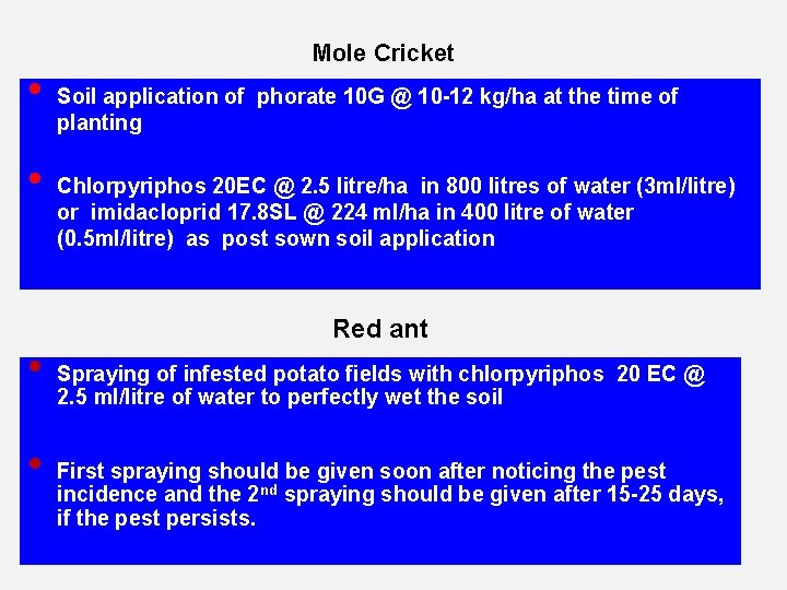  • • Mole Cricket Soil application of phorate 10 G @ 10 -12