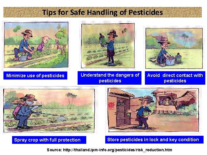 Tips for Safe Handling of Pesticides Minimize use of pesticides Spray crop with full