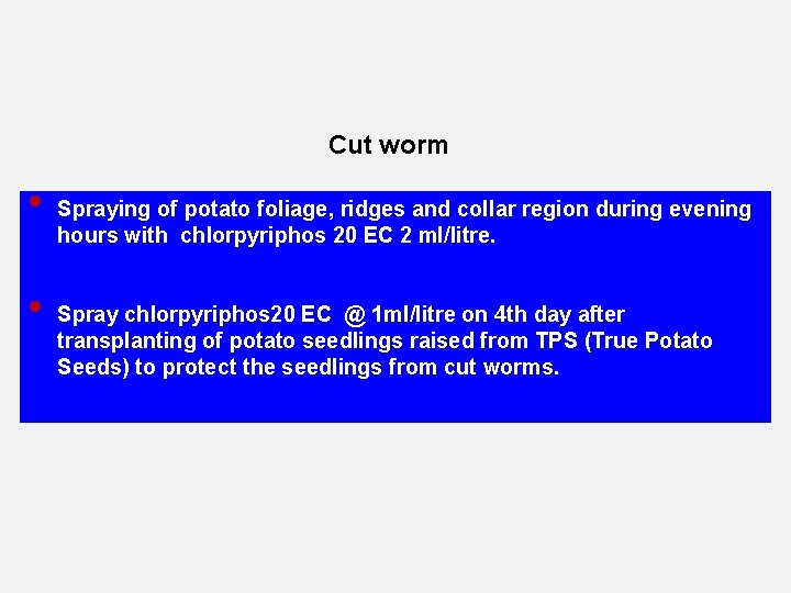 Cut worm • • Spraying of potato foliage, ridges and collar region during evening