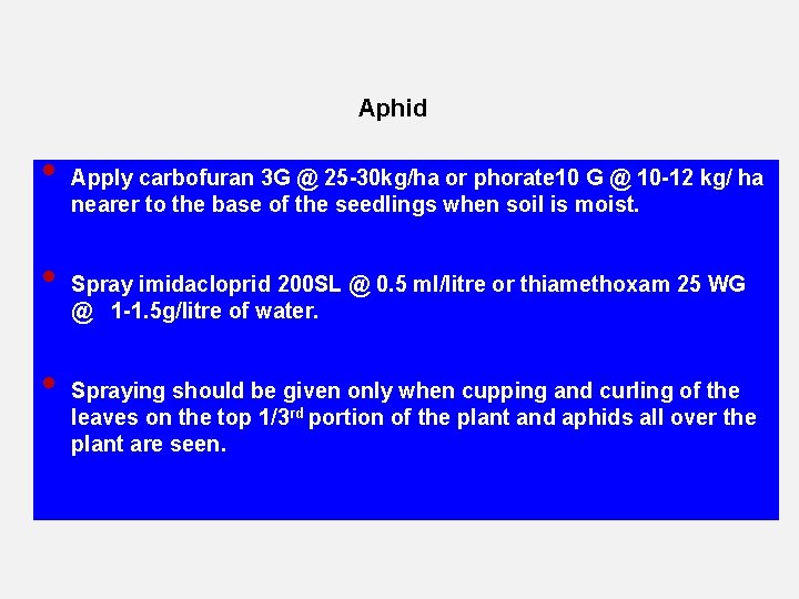 Aphid • • • Apply carbofuran 3 G @ 25 -30 kg/ha or phorate