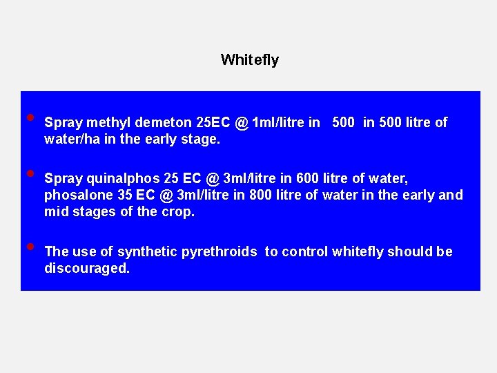 Whitefly • • • Spray methyl demeton 25 EC @ 1 ml/litre in 500