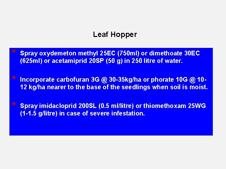 Leaf Hopper • • • Spray oxydemeton methyl 25 EC (750 ml) or dimethoate