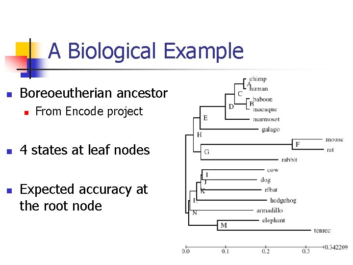 A Biological Example n Boreoeutherian ancestor n n n From Encode project 4 states