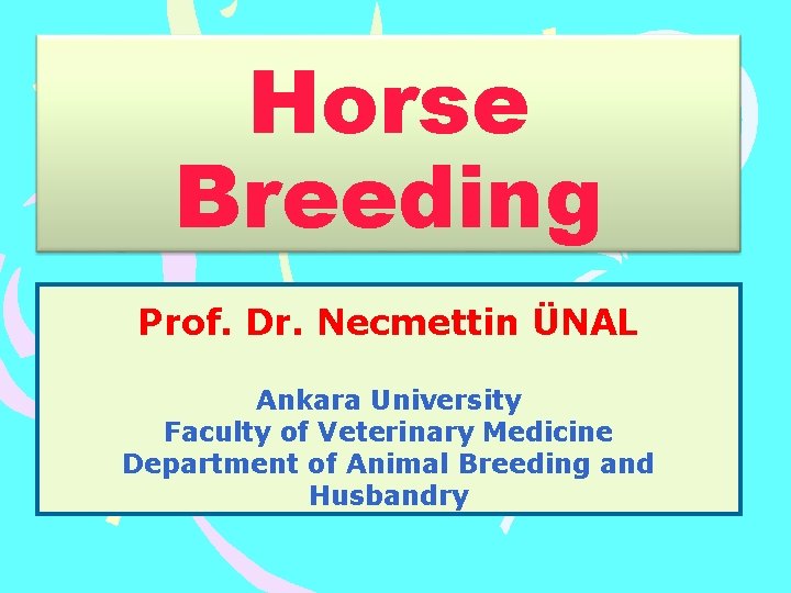 Horse Breeding Prof. Dr. Necmettin ÜNAL Ankara University Faculty of Veterinary Medicine Department of