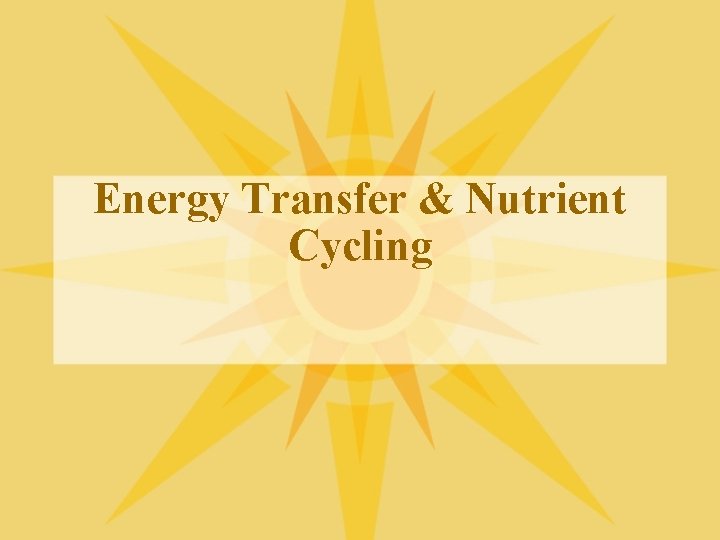 Energy Transfer & Nutrient Cycling 