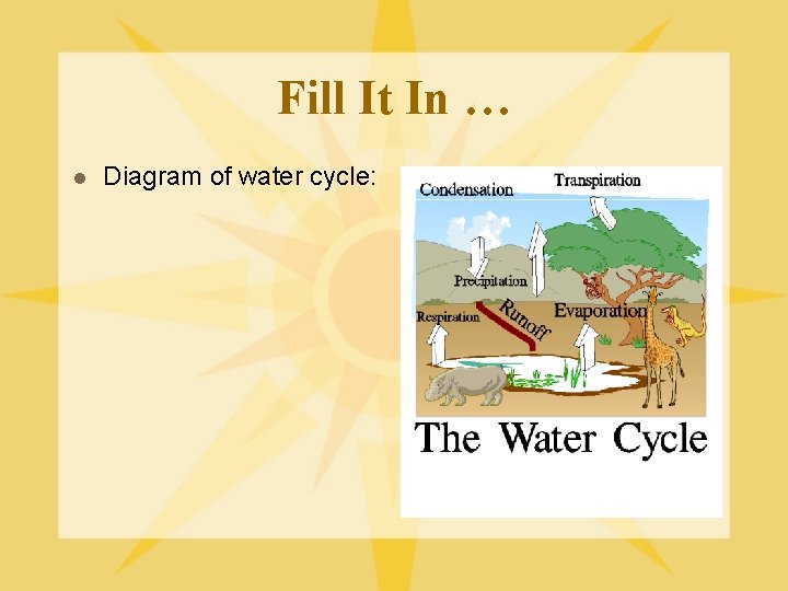 Fill It In … l Diagram of water cycle: 