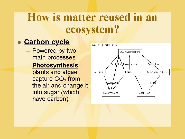 How is matter reused in an ecosystem? l Carbon cycle – Powered by two