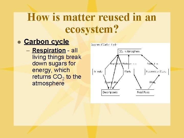 How is matter reused in an ecosystem? l Carbon cycle – Respiration - all