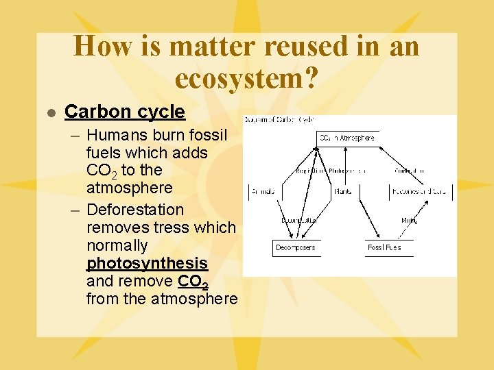 How is matter reused in an ecosystem? l Carbon cycle – Humans burn fossil