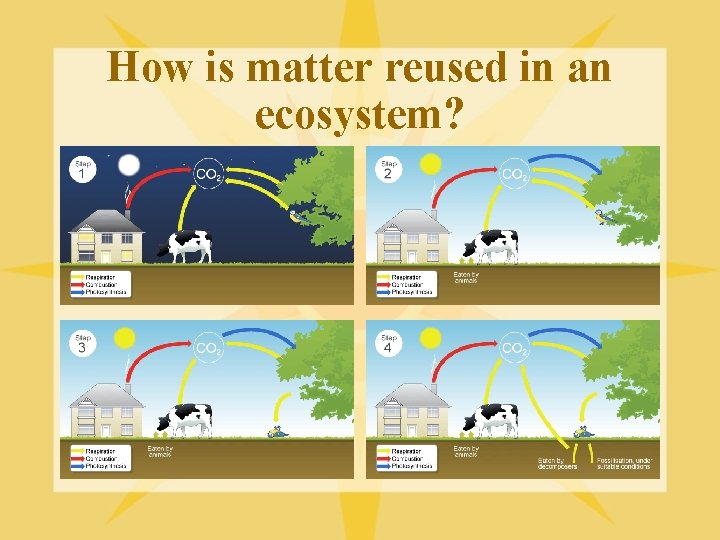 How is matter reused in an ecosystem? 