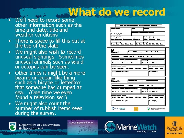 What do we record • We’ll need to record some other information such as