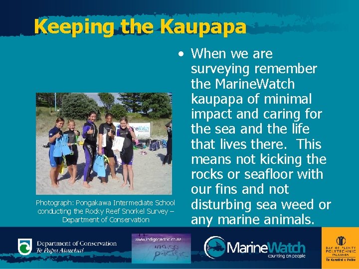 Keeping the Kaupapa • When we are surveying remember the Marine. Watch kaupapa of