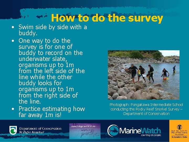 How to do the survey • Swim side by side with a buddy. •