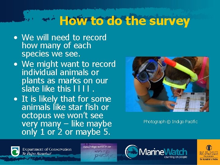 How to do the survey • We will need to record how many of