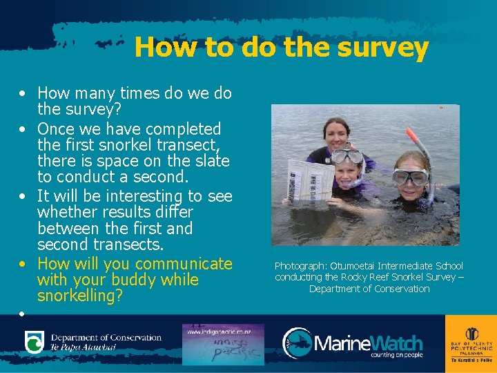 How to do the survey • How many times do we do the survey?