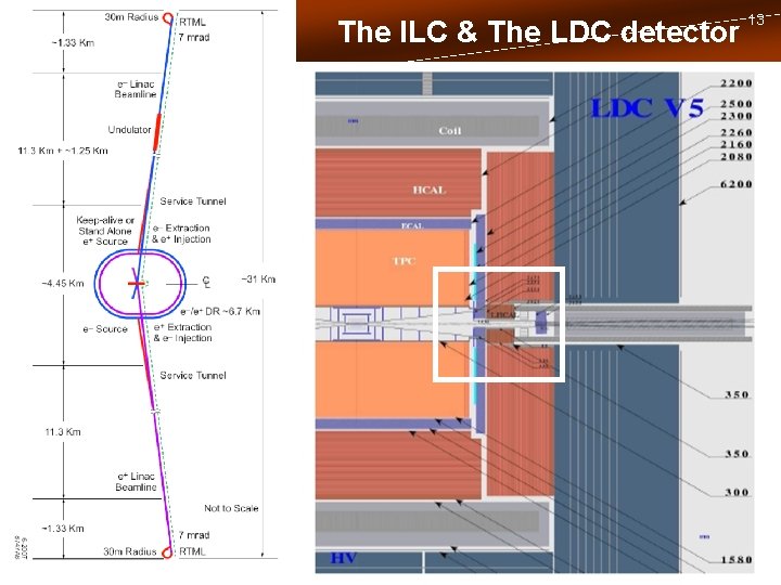 The ILC & The LDC detector 13 