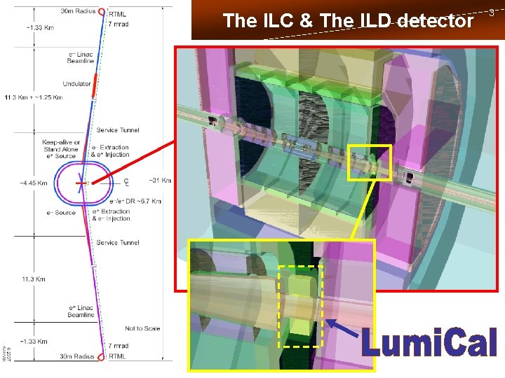 The ILC & The ILD detector 3 