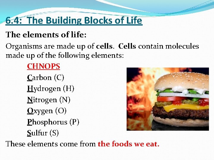 6. 4: The Building Blocks of Life The elements of life: Organisms are made