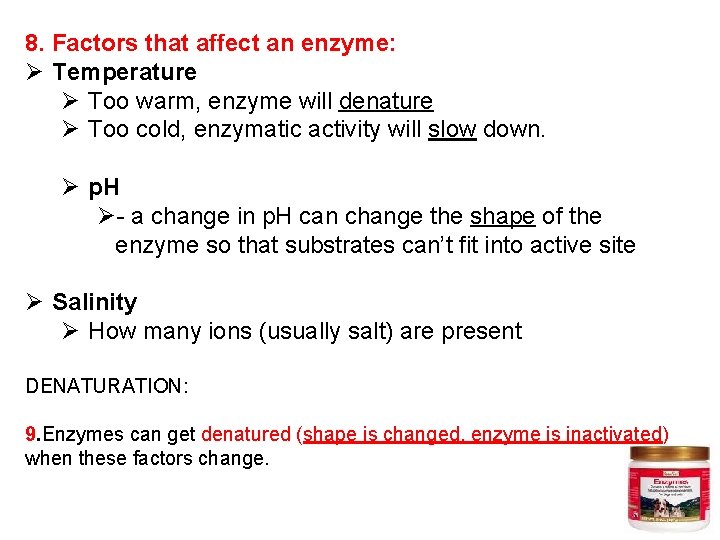 8. Factors that affect an enzyme: Ø Temperature Ø Too warm, enzyme will denature