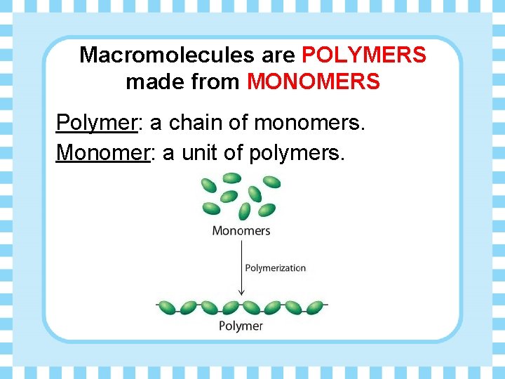 Macromolecules are POLYMERS made from MONOMERS Polymer: a chain of monomers. Monomer: a unit