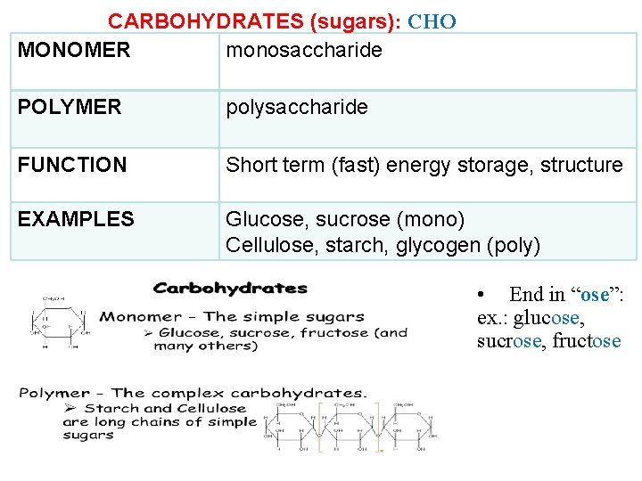 CARBOHYDRATES (sugars): CHO MONOMER monosaccharide POLYMER polysaccharide FUNCTION Short term (fast) energy storage, structure