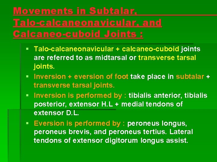 Movements in Subtalar, Talo-calcaneonavicular, and Calcaneo-cuboid Joints : § Talo-calcaneonavicular + calcaneo-cuboid joints are Movements in Subtalar, Talo-calcaneonavicular, and Calcaneo-cuboid Joints : § Talo-calcaneonavicular + calcaneo-cuboid joints are