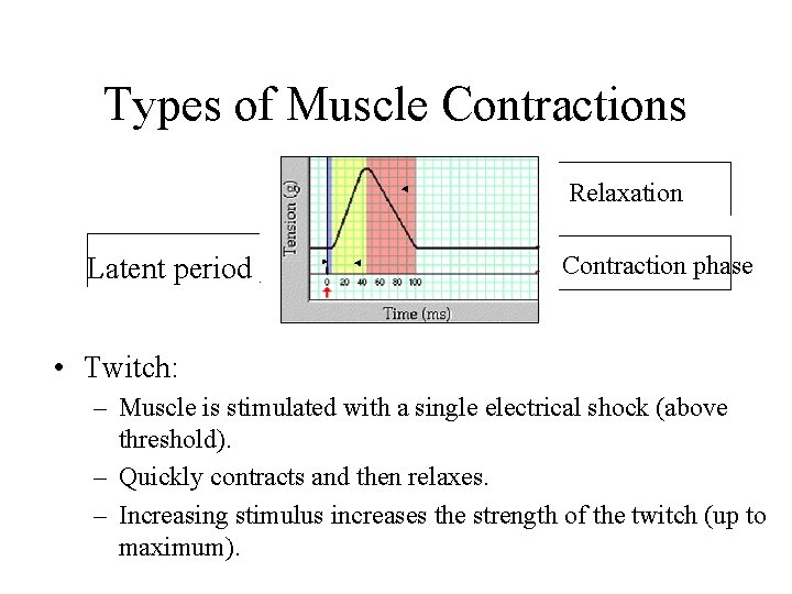 Types of Muscle Contractions Relaxation Latent period Contraction phase • Twitch: – Muscle is Types of Muscle Contractions Relaxation Latent period Contraction phase • Twitch: – Muscle is