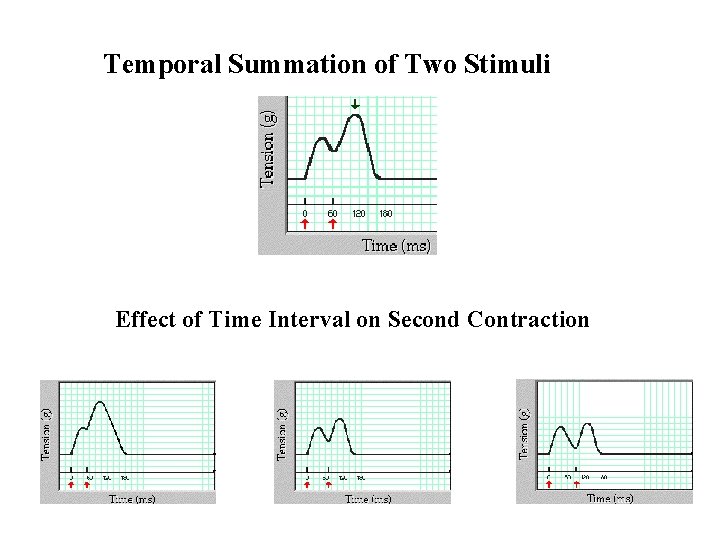 Temporal Summation of Two Stimuli Effect of Time Interval on Second Contraction Temporal Summation of Two Stimuli Effect of Time Interval on Second Contraction