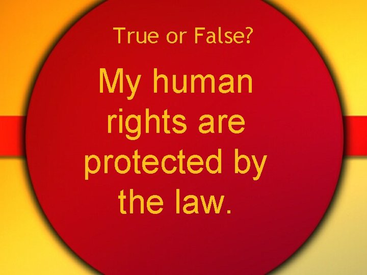 True or False? My human rights are protected by the law. 