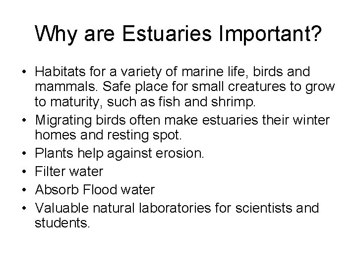 Why are Estuaries Important? • Habitats for a variety of marine life, birds and