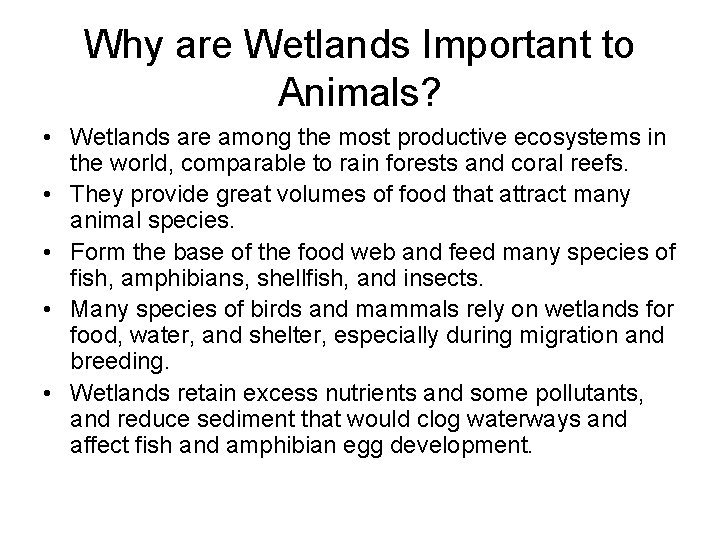 Why are Wetlands Important to Animals? • Wetlands are among the most productive ecosystems