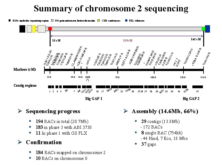 Summary of chromosome 2 sequencing c. TO ) (14 2. 0 T 15 54 Summary of chromosome 2 sequencing c. TO ) (14 2. 0 T 15 54