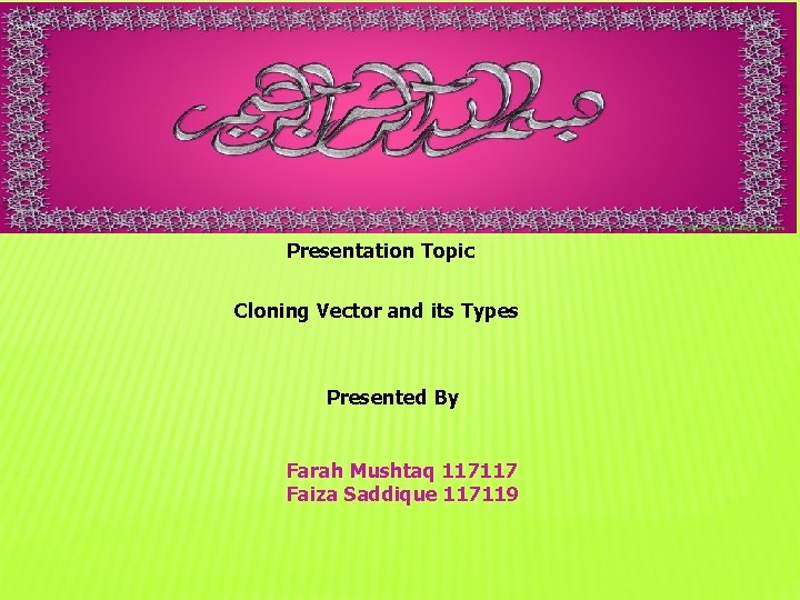 Presentation Topic Cloning Vector and its Types Presented By Farah Mushtaq 117117 Faiza Saddique
