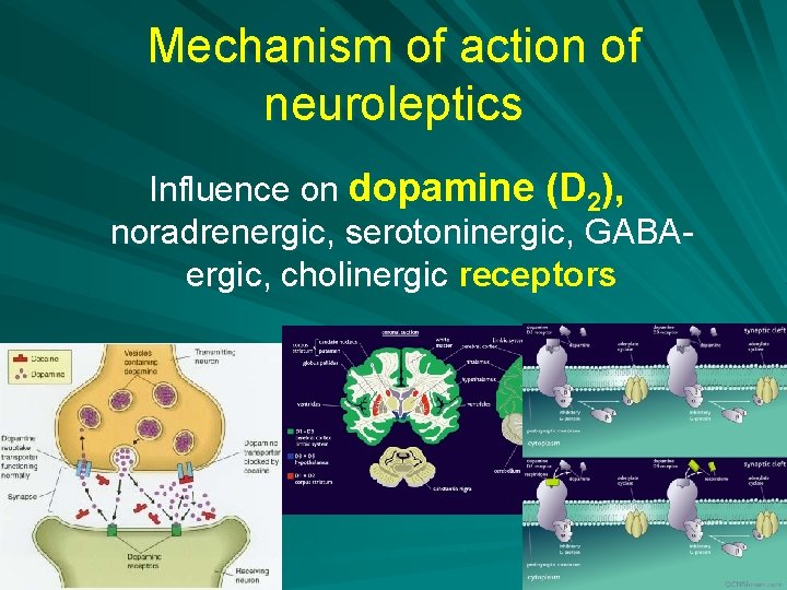 Mechanism of action of neuroleptics Influence on dopamine (D 2), noradrenergic, serotoninergic, GABAergic, cholinergic