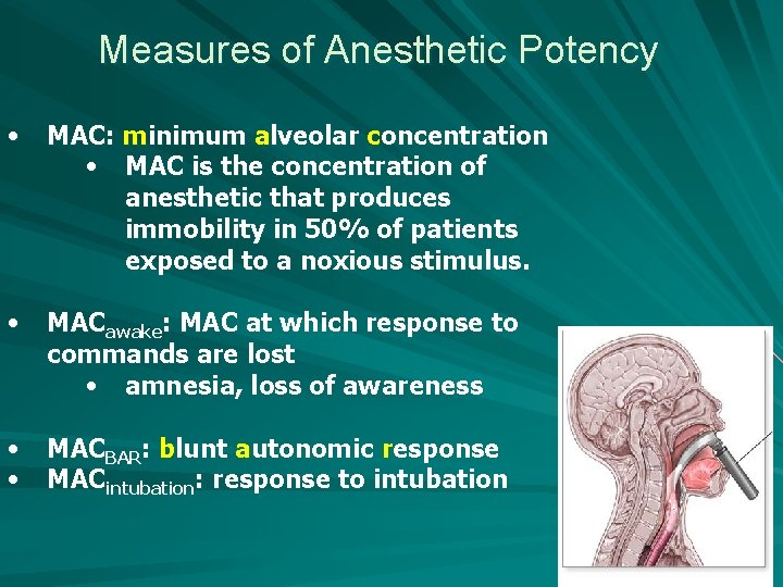 Measures of Anesthetic Potency • MAC: minimum alveolar concentration • MAC is the concentration