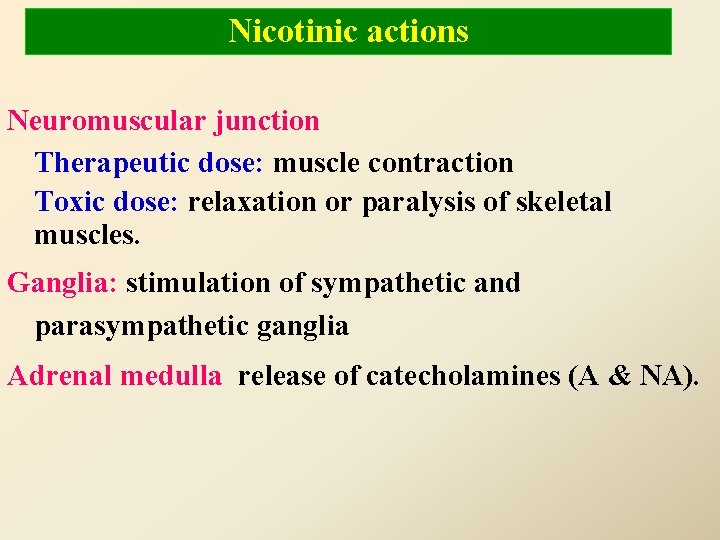 Nicotinic actions Neuromuscular junction Therapeutic dose: muscle contraction Toxic dose: relaxation or paralysis of