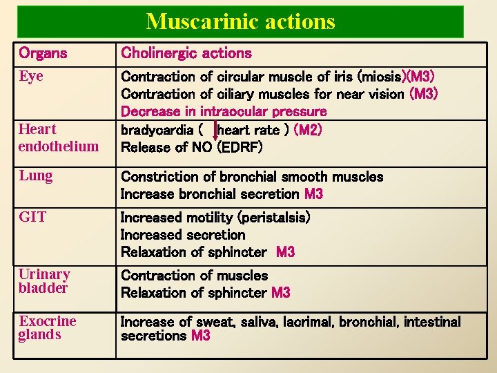 Muscarinic actions Organs Cholinergic actions Eye Contraction of circular muscle of iris (miosis)(M 3)